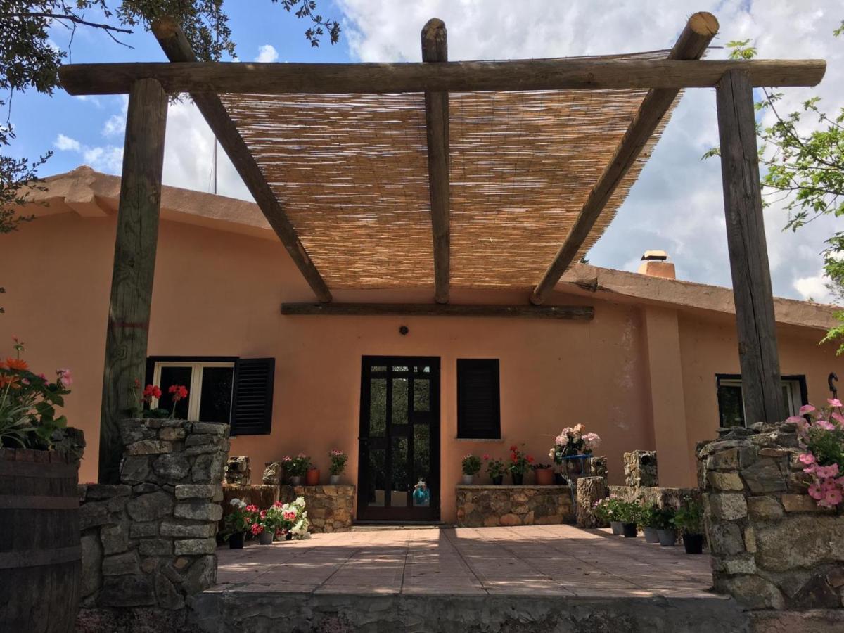 Azienda Agrituristica S'Argalasi - B&B - Affittacamere Loc S'Argalasi Austis Экстерьер фото