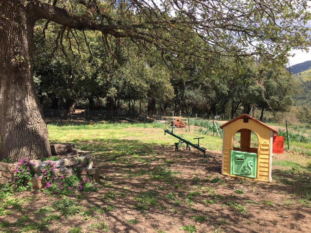 Azienda Agrituristica S'Argalasi - B&B - Affittacamere Loc S'Argalasi Austis Экстерьер фото