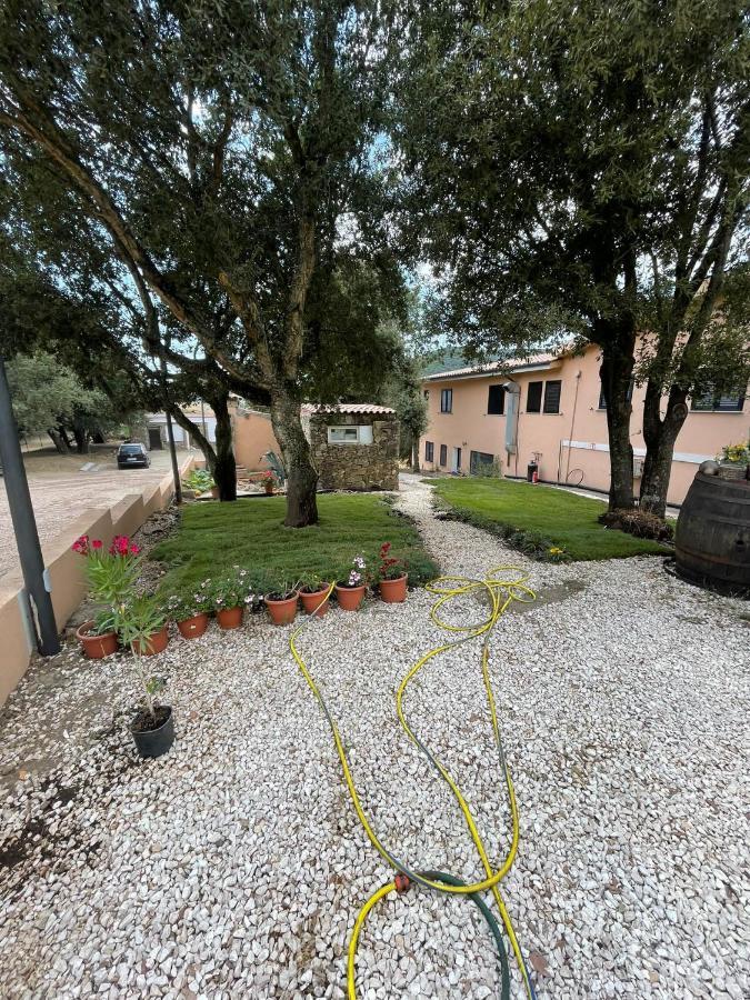 Azienda Agrituristica S'Argalasi - B&B - Affittacamere Loc S'Argalasi Austis Экстерьер фото